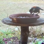 くつきそば 永昌庵 - 