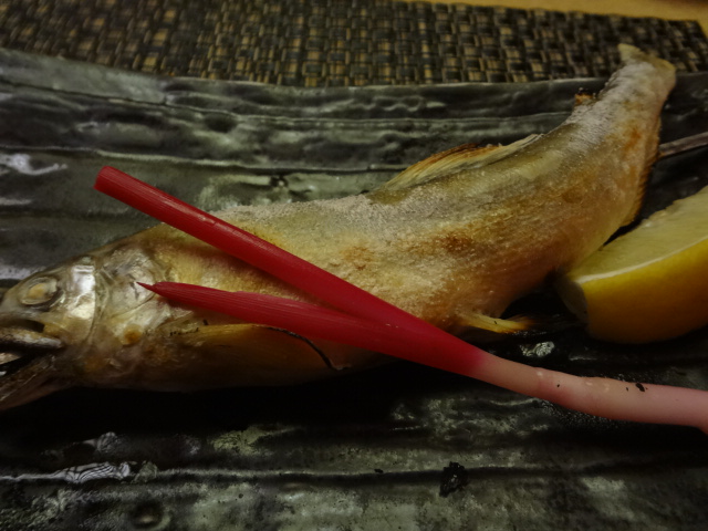 閉店 土風炉 府中店 とふろ 府中 居酒屋 食べログ 閉店 土風炉 府中店 とふろ 府中 居酒屋 食べログ