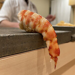 寿司赤酢・望月 - 