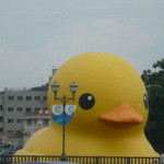 しみず食堂 - 大阪の方見覚えありませんか？