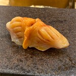 あま木 - 渥美半島の赤貝