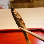 富小路 やま岸 - 