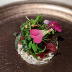 ロゼット - インドマグロと根セロリのレムラード