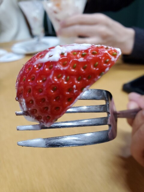 観音山フルーツパーラー 粉河 フルーツパーラー 食べログ