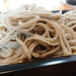 乙蕎麦 - 粗挽きせいろ アップ 艶が良く腰のある美味しい粗挽き