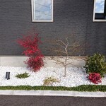 乙蕎麦 - 庭も綺麗