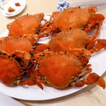 家全七福酒家 SEVENTH SON RESTAURANT - 