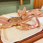 うを徳 - 松葉蟹