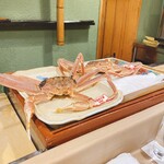 うを徳 - 松葉蟹