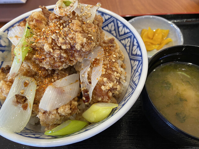 カツから家 &ndash; 飯詰（とんかつ）｜イオンモール大曲店のおすすめメニューと口コミ