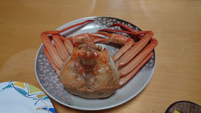 ドライブインきんかい 越中宮崎 焼肉 食べログ ドライブインきんかい 越中宮崎 焼肉 食べログ
