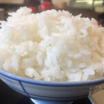 ごはん屋 たこ八食堂 - 