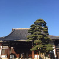 レフェルヴェソンス - 