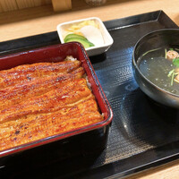 うなぎ 目白ぞろ芽 - 