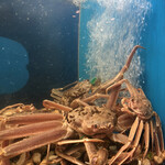 天橋立離宮 星音 - 豪快に泳いでますw