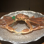 天橋立離宮 星音 - ほぃ♬