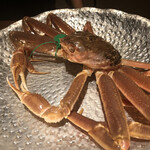 天橋立離宮 星音 - 『緑』のタグが『間人蟹』の目印ね❣️