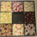 天橋立離宮 星音 - ニコライバーグマンだっ❣️すぐ分かった＾＾