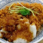 Dondon An - 甘いタレと大根おろしにかけてトンカツとご飯でムフフです(^q^)