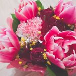 Patisserie Ravi,e relier - 