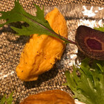 キャトルラパン - 