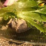 キャトルラパン - 