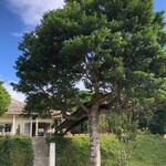 森の食堂 smile spoon - 