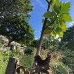 森の食堂 smile spoon - 