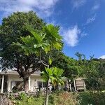 森の食堂 smile spoon - 