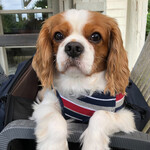 森の食堂 smile spoon - 