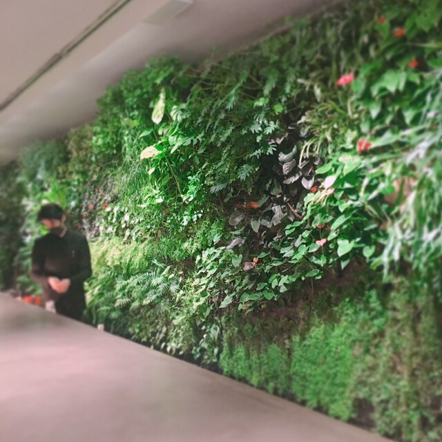 隠し扉ねbar By Kazugurume Wall 青山店 表参道 バー 食べログ 隠し扉ねbar By Kazugurume Wall 青山店 表参道 バー 食べログ