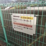 ラーメン二郎 - 