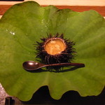 虎白 - 先付　紫雲丹の殻雲丹　湯葉　酢橘のジュレ　長芋　飛び魚の子