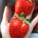 姫路ハートフル観光農園 - 