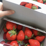 姫路ハートフル観光農園 - 