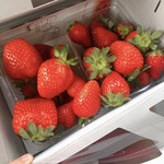 姫路ハートフル観光農園 - 