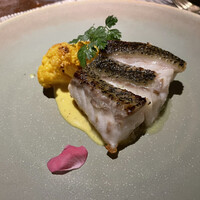 SPICE LAB TOKYO - 