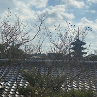 高台寺羽柴 - 