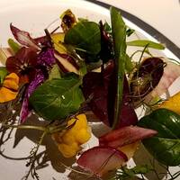 レフェルヴェソンス - 