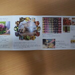 カゴノオト - 説明