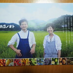 カゴノオト - 説明