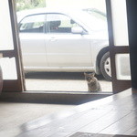 ふみえはらはん - 