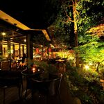 いかの墨 - メイン写真: