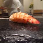 島津 - クルマエビ