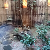 赤坂 津つ井 総本店 - 