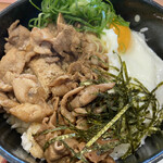 Michiguchipakingueriakudarisemmotenasu - 山椒をぶっかけた道口豚かば丼です