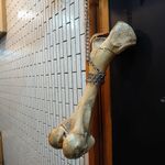 一条流がんこ総本家分家四谷荒木町 - 