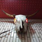 一条流がんこ総本家分家四谷荒木町 - 