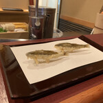 京都祇園 天ぷら八坂圓堂 - 