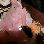 いかの墨 - アラ（クエ)